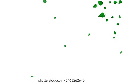 Green Greens Fresh Vector White Background Border. Blur Foliage Plant. Forest Leaf Tea Branch. Leaves Forest Brochure.