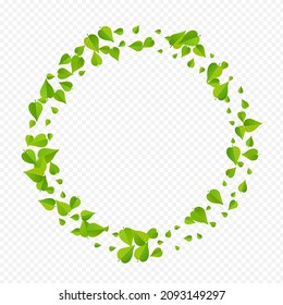 Green Greens Herbal Vector Transparent Background Plant. Motion Leaves Concept. Lime Leaf Nature Branch. Foliage Tree Illustration.