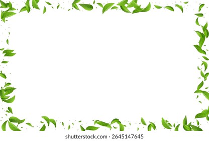 Fondo de pantalla de fondo blanco de Vector de hierbas verdes. Rama de follaje de remolino. El Pantano Deja Un Patrón Realista. Folleto de caída de hojas.
