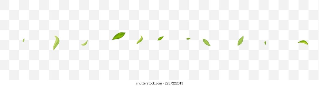 Green Greens Motion Vector Transparent Panoramic Background Design. Tea Foliage Template. Mint Leaf Ecology Poster. Leaves Falling Banner.