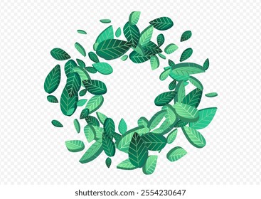 Green Greens Motion Vector Transparent Background Concept. Tea Foliage Pattern. Olive Leaves Abstract Background. Leaf Organic Wallpaper.