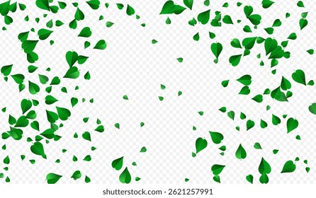 Grüne Grüne Bewegung Vektor transparenter Hintergrund Banner. Kräuterblätter Tapete. Minzblatt Frühling Hintergrund. Broschüre zum Thema Blattfallen.