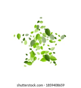 Green Greens Nature Vector Design. Swirl Foliage Pattern. Mint Leaves Motion Plant. Leaf Spring Border.