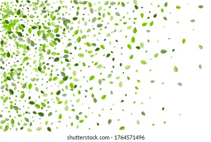 Green Greens Nature Vector Plant. Fresh Leaves Template. Swamp Foliage Fly Background. Leaf Forest Backdrop.