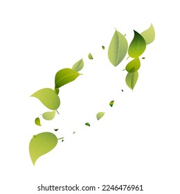 Green Greens Nature White Vector Background Illustration. Abstract Leaf Pattern. Mint Leaves Flying Border. Foliage Fresh Design.