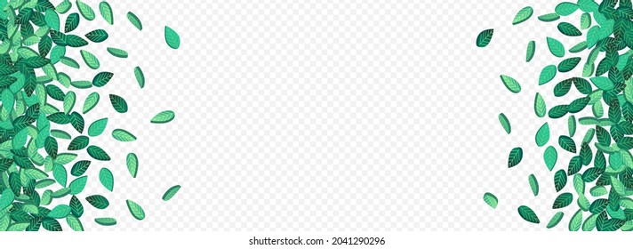 Green Greens Organic Vector Panoramic Transparent Background Brochure. Blur Foliage Background. Olive Leaf Swirl Branch. Leaves Spring Template.