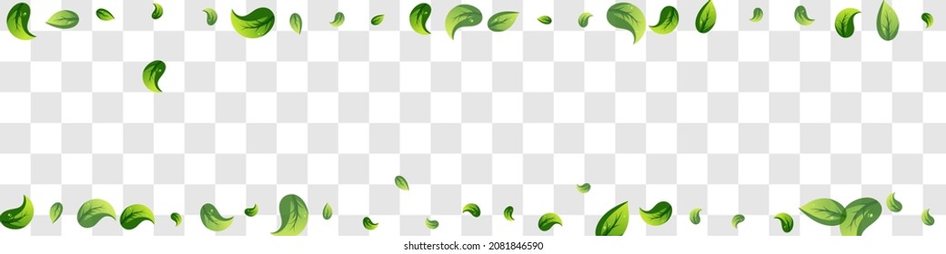 Green Greens Organic Vector Panoramic Transparent Background Concept. Ecology Leaves Template. Forest Foliage Blur Brochure. Leaf Wind Branch.