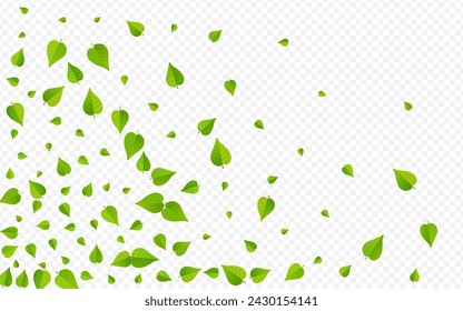 Green Greens Organic Vector Transparent Background Backdrop. Forest Foliage Branch. Grassy Leaves Flying Poster. Leaf Nature Wallpaper.