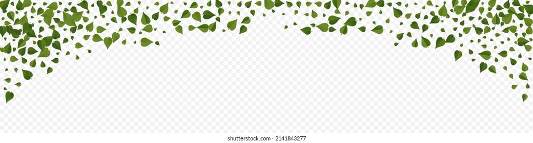 Green Greens Realistic Vector Panoramic Transparent Background Concept. Fresh Foliage Pattern. Swamp Leaf Motion Design. Leaves Wind Poster.