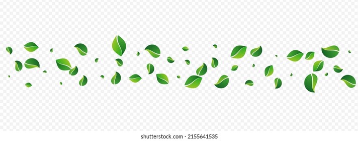 Green Greens Realistic Vector Panoramic Transparent Background. Tree Foliage Pattern. Lime Leaf Transparent Border. Leaves Flying Poster.