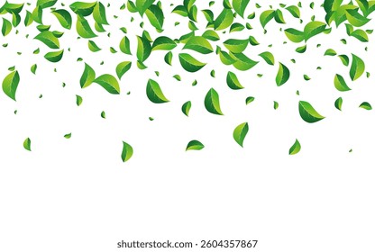 Green Greens Realistic Vector White Background. Spring Foliage Poster. Grassy Leaves Organic Wallpaper. Leaf Herbal Backdrop.