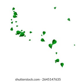 Green Greens Spring Vector White Background Design. Blur Leaves Illustration. Olive Leaf Motion Backdrop. Foliage Transparent Template.