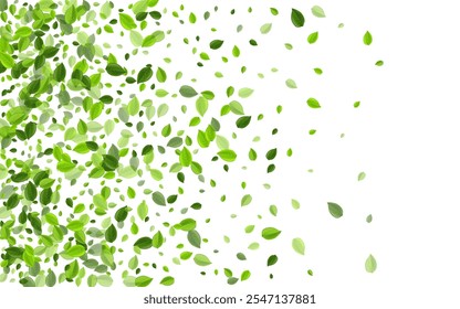 Green Greens Swirl Vector Border. Tea Leaves Plant. Swamp Leaf Ecology Branch. Foliage Falling Concept.