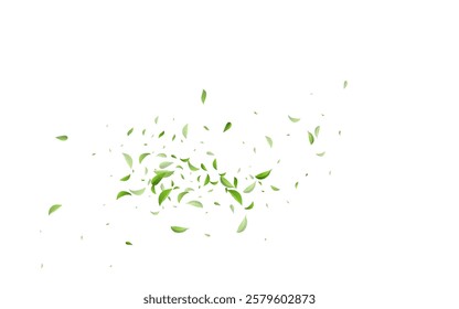 Green Greens Swirl Vector White Background Poster. Herbal Leaves Wallpaper. Forest Foliage Spring Template. Leaf Fly Plant.