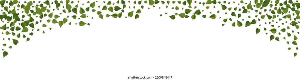 Green Greens Tea Vector Panoramic White Background Branch. Blur Leaf Design. Lime Foliage Ecology Backdrop. Leaves Falling Banner.