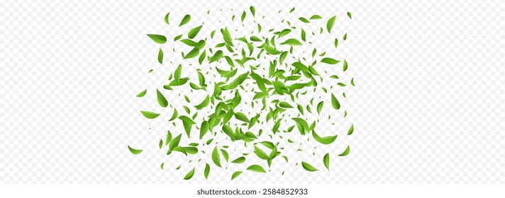 Green Greens Tea Vector Panoramic Transparent Background Backdrop. Transparent Leaves Concept. Grassy Leaf Realistic Banner. Foliage Tree Poster.