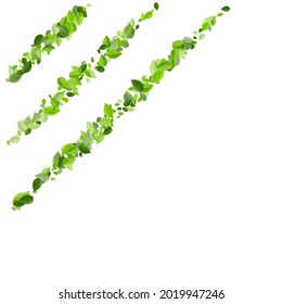 Green Greens Tea Vector Plant. Nature Leaves Design. Grassy Leaf Spring Border. Foliage Realistic Background.