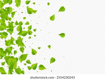 Green Greens Tea Vector Transparent Background Design. Herbal Foliage Plant. Olive Leaf Fresh Wallpaper. Leaves Blur Border.