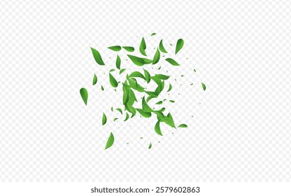 Green Greens Transparent Vector Transparent Background Plant. Wind Leaf Banner. Forest Leaves Fly Border. Foliage Swirl Poster.