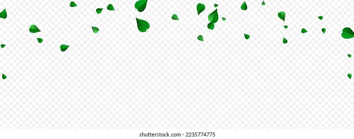 Green Greens Transparent Vector Panoramic Transparent Background Branch. Forest Leaves Design. Grassy Foliage Ecology Poster. Leaf Nature Plant.