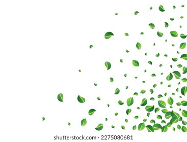 Green Greens Transparent Vector White Background. Blur Leaves Template. Mint Foliage Falling Banner. Leaf Motion Design.