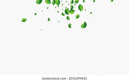 Green Greens Tree Vector Transparent Background. Realistic Foliage Design. Mint Leaf Tea Backdrop. Leaves Ecology Plant.