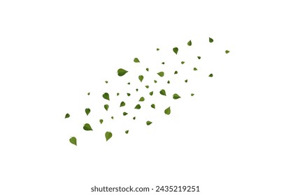Green Greens Tree Vector White Background Wallpaper. Abstract Leaves Brochure. Olive Foliage Wind Illustration. Leaf Falling Border.