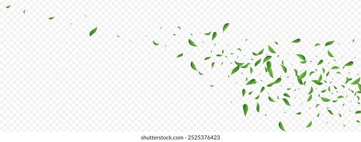 Green Greens Wind Vector Panoramic Transparent Background Poster. Motion Leaf Banner. Forest Leaves Nature Concept. Foliage Realistic Branch.