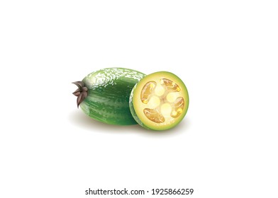 Green Grenadilla oval fruit vector illustration isolated on white background