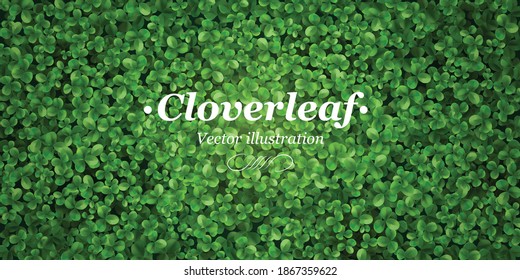 Green ground cover plants grass background title header poster with clover leaves realistic top view vector illustration