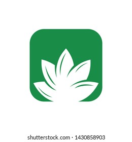 green grow leaf logo vector earth 
natural elements icon symbol illustrations