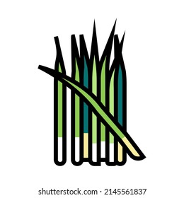 green growing onion color icon vector. green growing onion sign. isolated symbol illustration