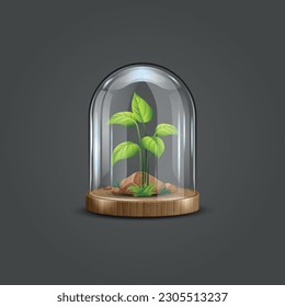 Green growing plant inside glass dome. Nature protection concept. world earth and environment day, save green, save forest illustration vector.Climate change and Global warming 