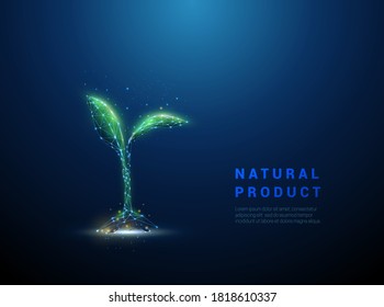 Green  growing plant sprout. Biotechnology concept. Low poly style design. Abstract blue geometric background. Wireframe light connection structure. Modern 3d graphic Isolated vector illustration