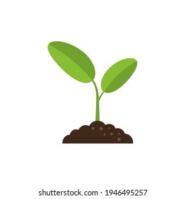 green growing plant sprout, seedling with leaves vector icon isolated on white background, vector illustration - Shutterstock ID 1946495257