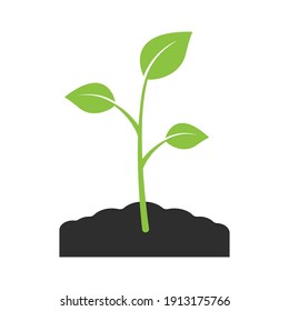 Green growing plant sprout. Young sprout with leaves vector icon isolated on white background. Vector illustration.