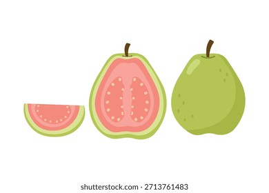 Grünes Guavenfrucht-Set. Ganz und geschnitten. Geeignet für ClipArt, Aufkleber, flache Designgrafik usw. 