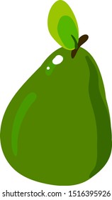 Guayaba verde, ilustración, vector sobre fondo blanco.