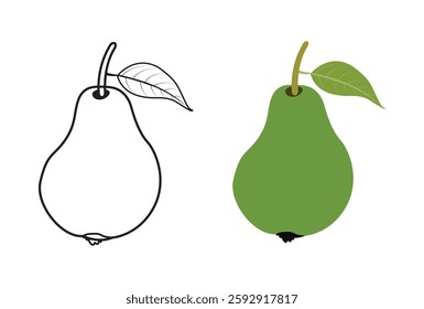 Green guava and line art vector illustration. 