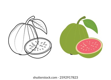 Green guava and line art vector illustration. 