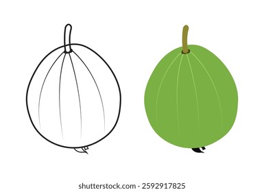 Green guava and line art vector illustration. 