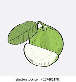 green guava on white background, vector