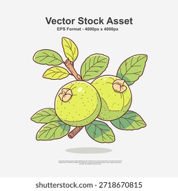 Green guava with stem in hand drawn doodle art style. This fresh fruit illustration is a clean vector design in EPS format, perfect for tropical food themes, botanical artwork, and natural cuisine visuals.