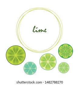 Green half and slice lime. Vector illustration, background.