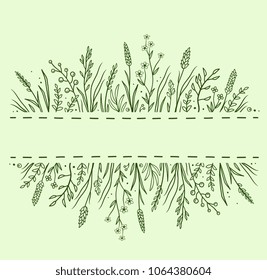 green hand drawn background with wild drug herbs, flowers and plants