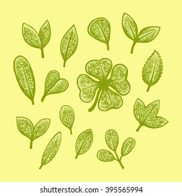 Green hand drawn leaves clip art set, vector illustration