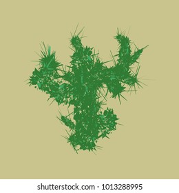 Green hand drawn, realistic decorative cactus. Vector illustration.