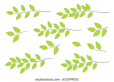green hand drawn tree branches set with leaves