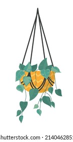 green hanger plant over white