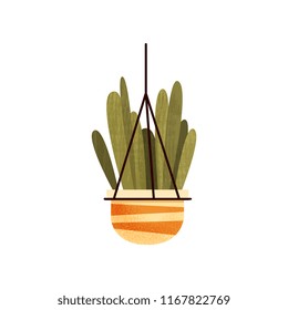 Green hanging potted cacti house plant, elegant home or office decor vector Illustration on a white background